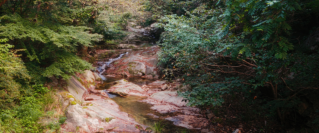 Stream in Bukhansan