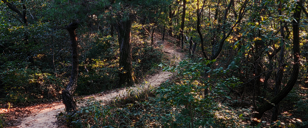 Trail in Bukhansan