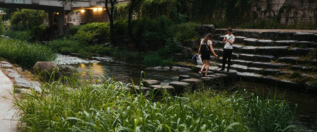 Cheonggyecheon stepping stones